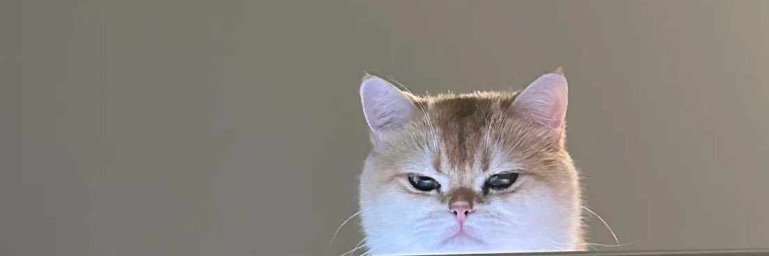 mohdfarizad's profile banner image