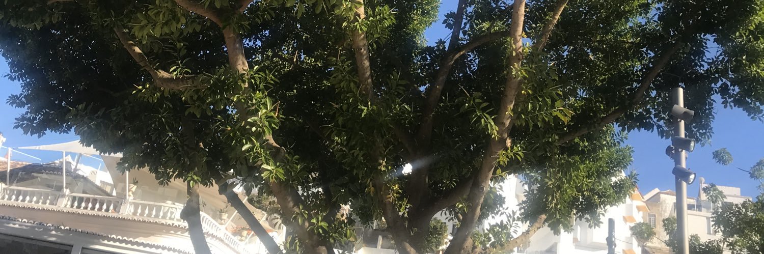 doubleyouillem's profile banner image
