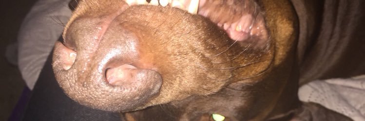 chellsmuz's profile banner image