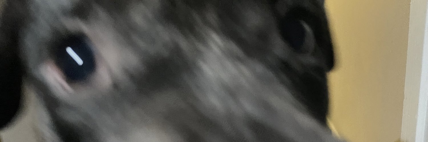 HoodNerdHippy's profile banner image