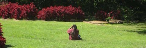 ELFACTION UPDATES 🧝‍♂️ banner