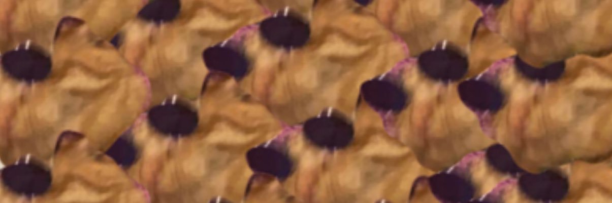 frogluvr44's profile banner image