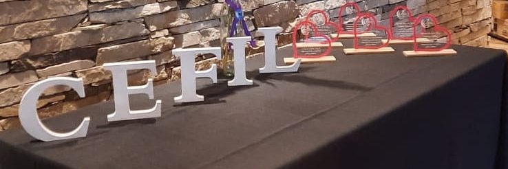 DraLuciaC's profile banner image