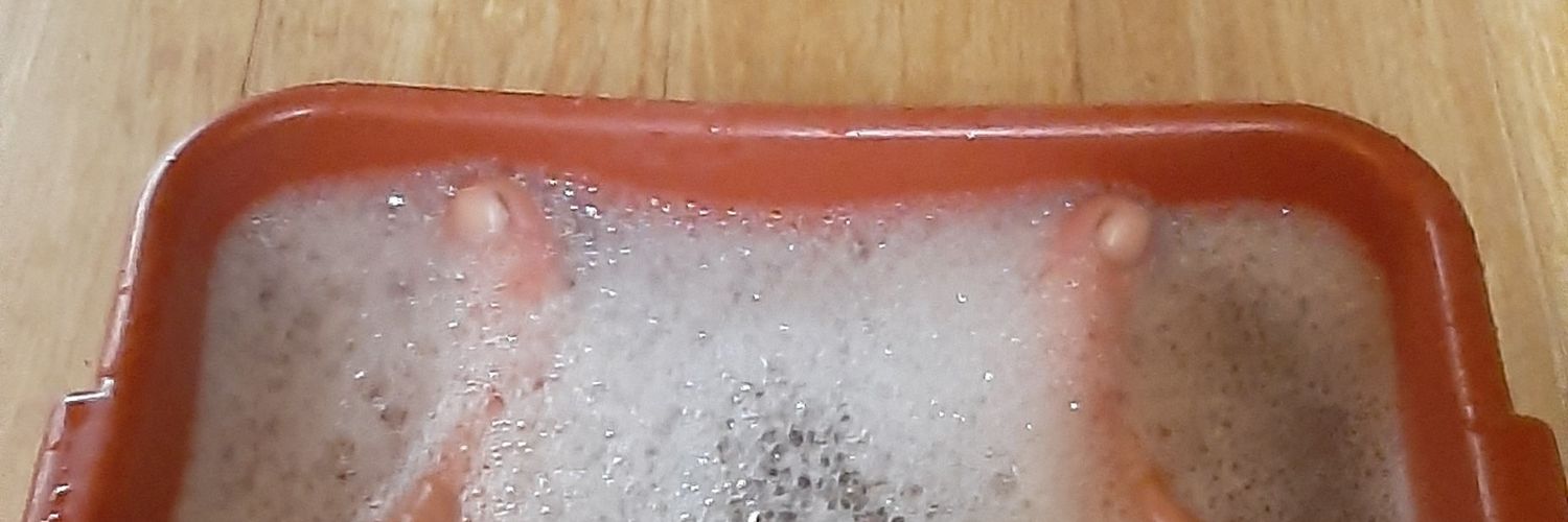 SaschaVinkler's profile banner image