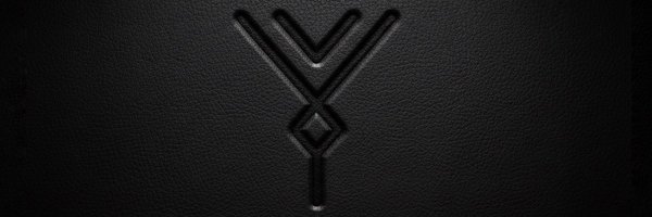 AlgizSec Profile Banner