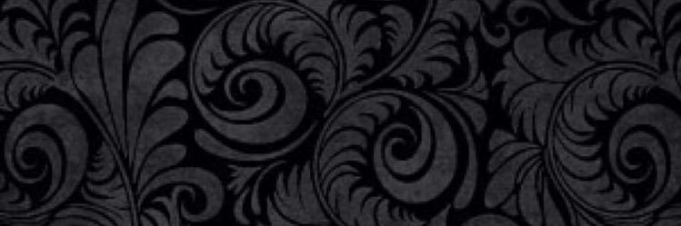 BNissrini's profile banner image