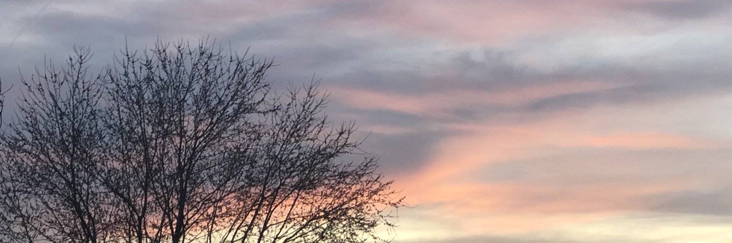 feistypinkwolf's profile banner image