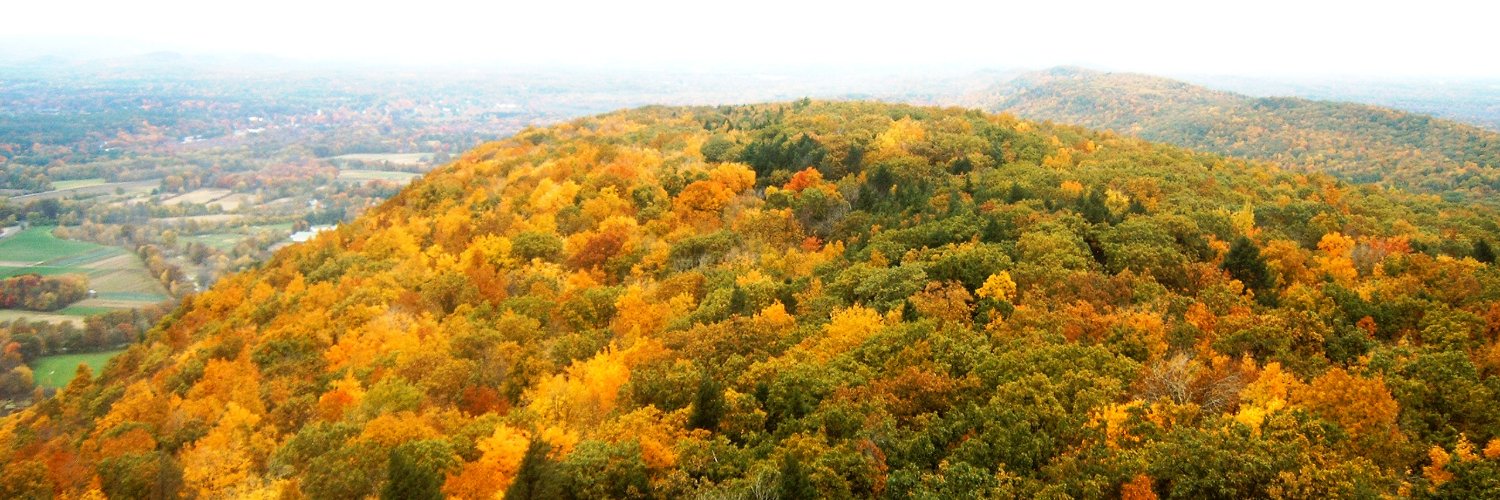 Phasen Dasher banner