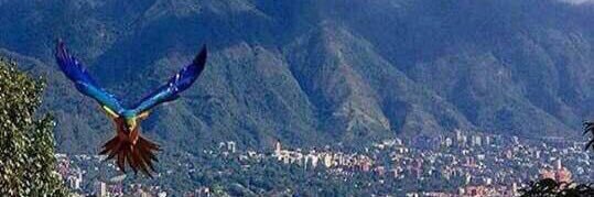 Hilda Marlene Angulo banner