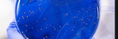 Desdabes's profile banner image