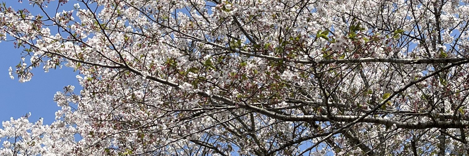 えりん banner