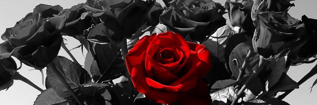 FirstXxladyy's profile banner image