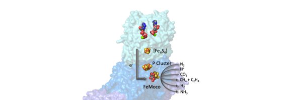 RebeleinLab Profile Banner
