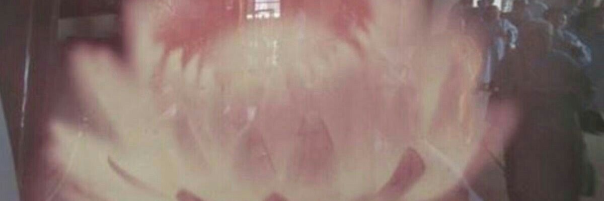 E D E N 夏以晝 🪷 banner