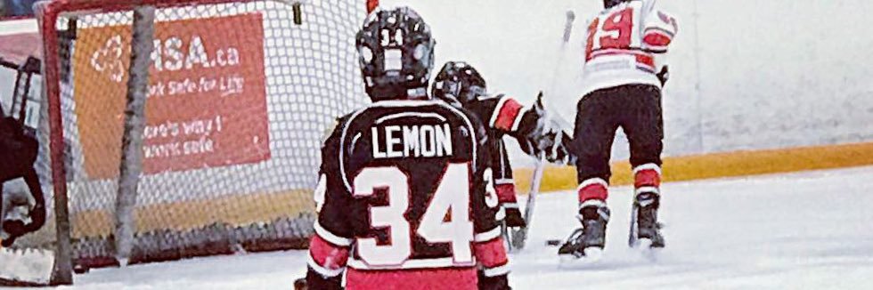 sdlemon's profile banner image