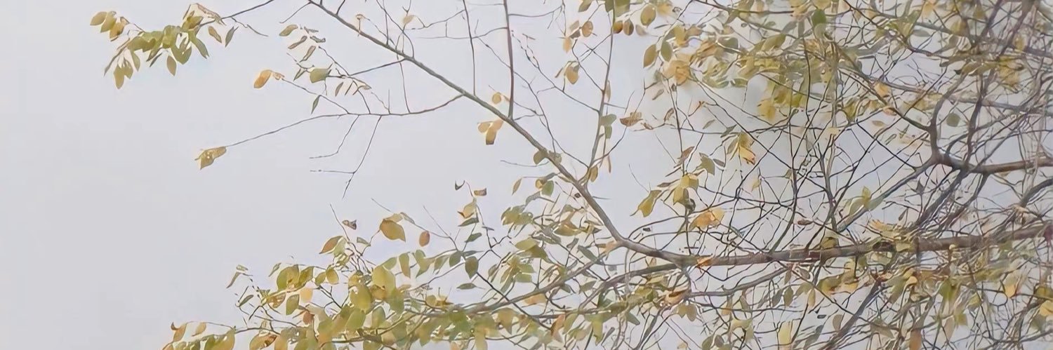 z_hattievicky's profile banner image