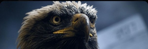 VigilantProof Profile Banner