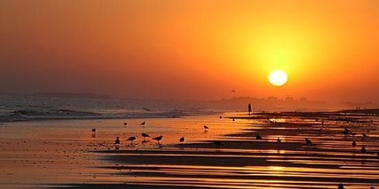 Erotic Goddesses 124K banner