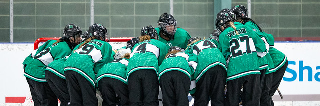 Ringette Sask banner