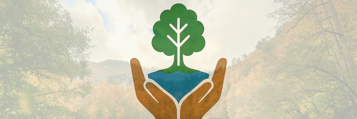 Yedigollerplat's profile banner image