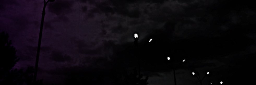 ᅠ ᅠ ᅠ ᅠ ᅠ ᅠ 𝘁𝗵𝗲 ♱ 𝖇𝗹𝗮𝗰𝗸 𝘃𝗲𝗶𝗹. banner