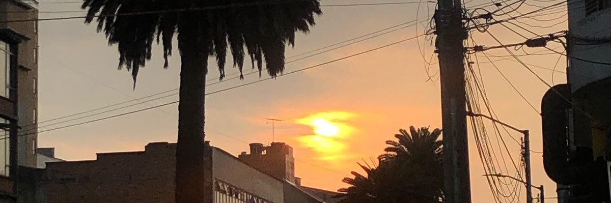 natismiam's profile banner image