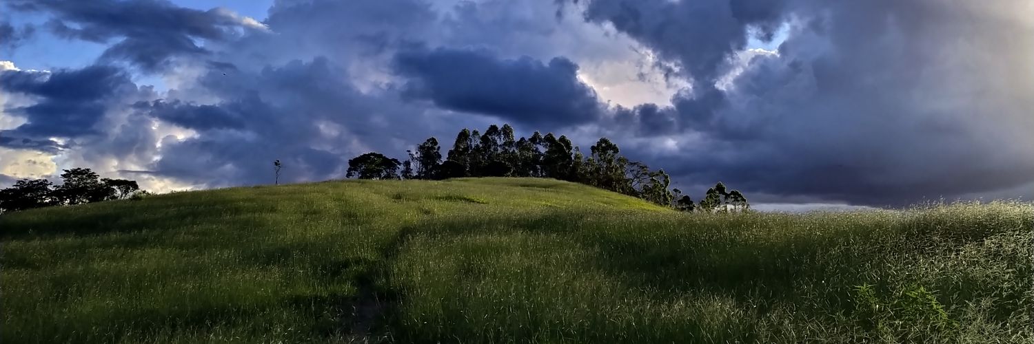 mbtavares's profile banner image