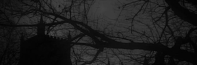 NSFWraith's profile banner image