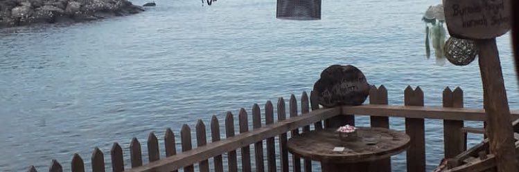 zeynorman's profile banner image