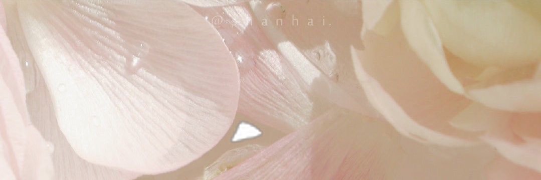 yada531036's profile banner image