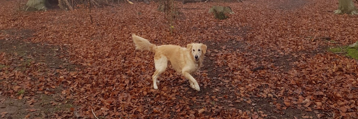 Nick Powdthavee banner