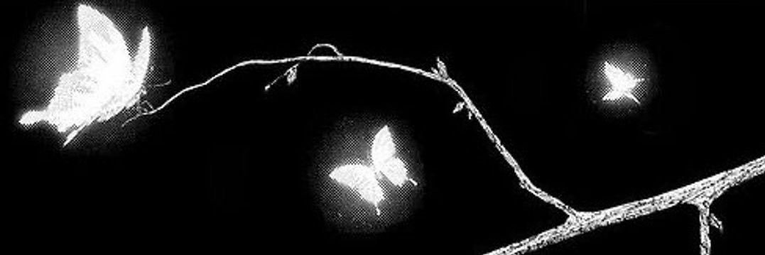 imyvb_'s profile banner image