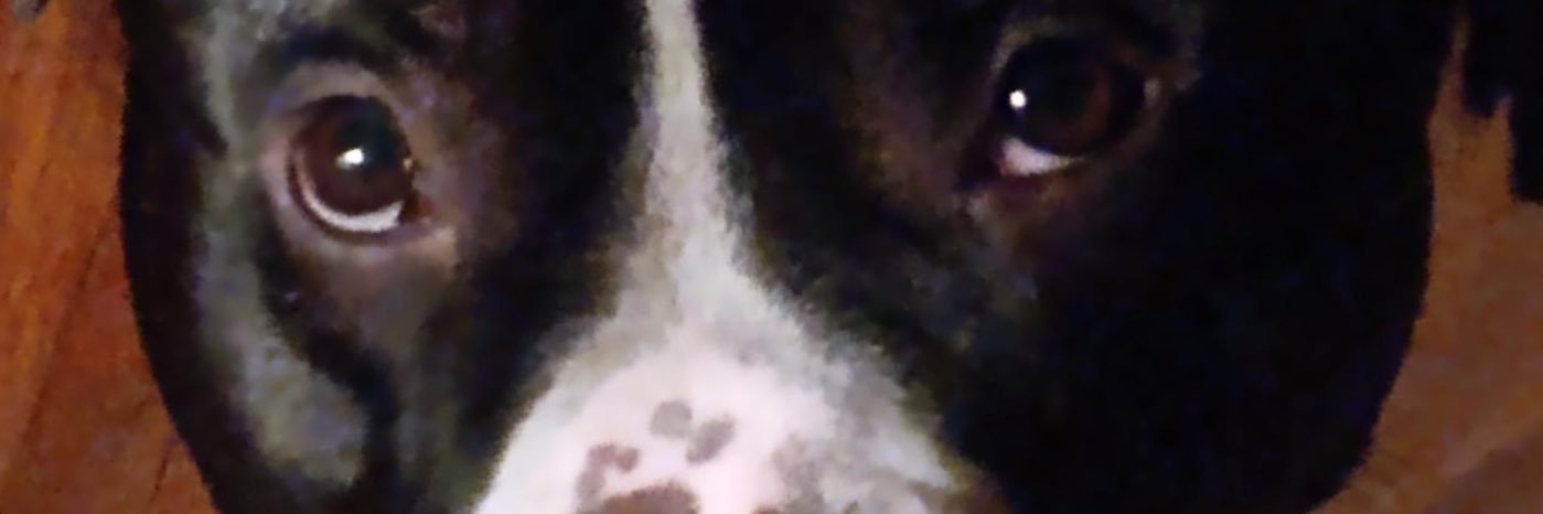 Maryhuff273454's profile banner image