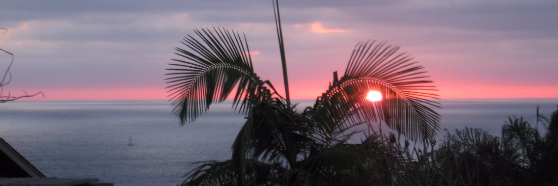 edotter's profile banner image