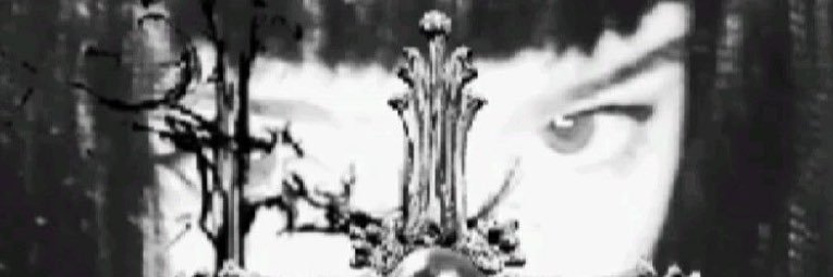 🖤 banner