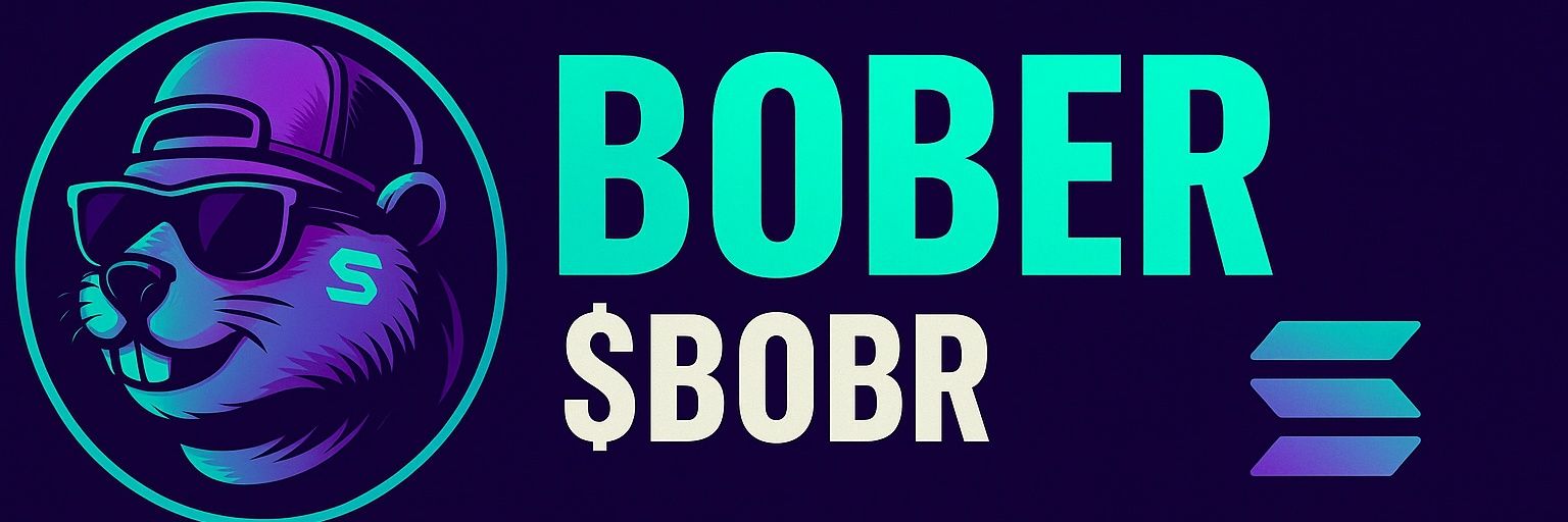 RealBoberSolana's profile banner image