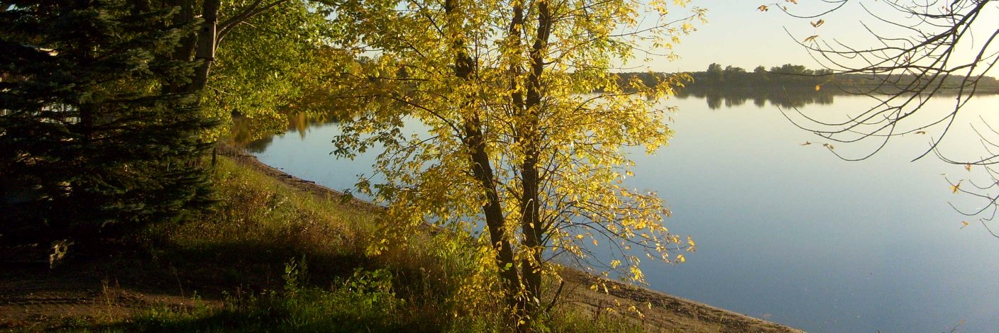 henningtons1's profile banner image