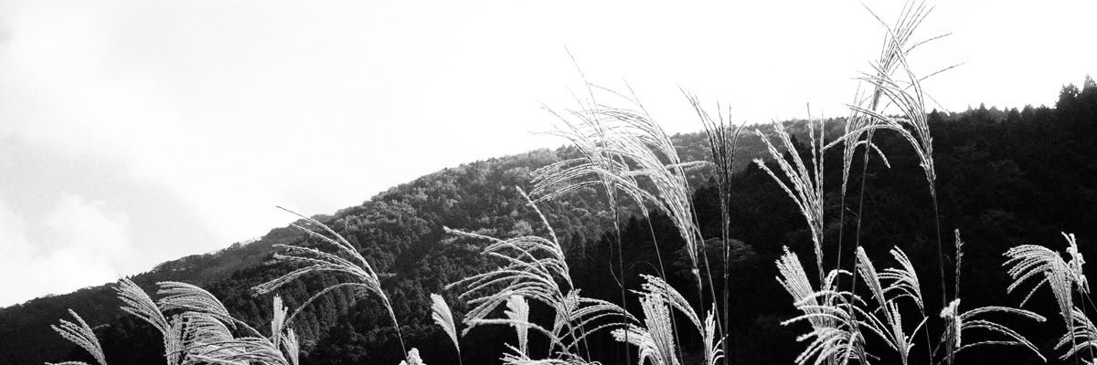 🕷️𝕸𝖔𝖗𝖌𝖆𝖓🧉 banner