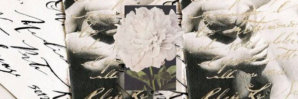 chesecakedflor Profile Banner