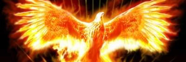NadirAngelina's profile banner image