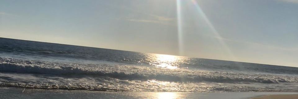 bitlalsig's profile banner image