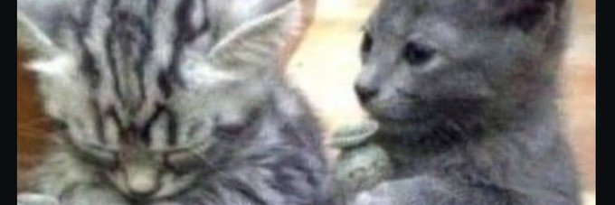 SadSuuhh's profile banner image