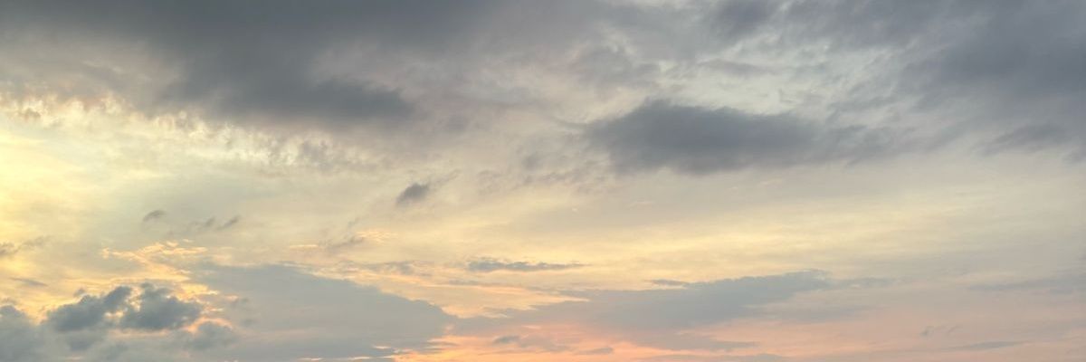 aurell ⁠✧⁠*⁠。 banner