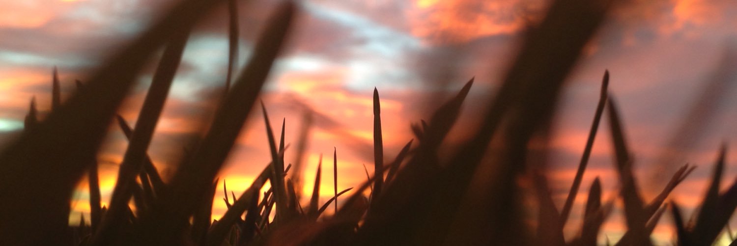 WhitSkabe's profile banner image