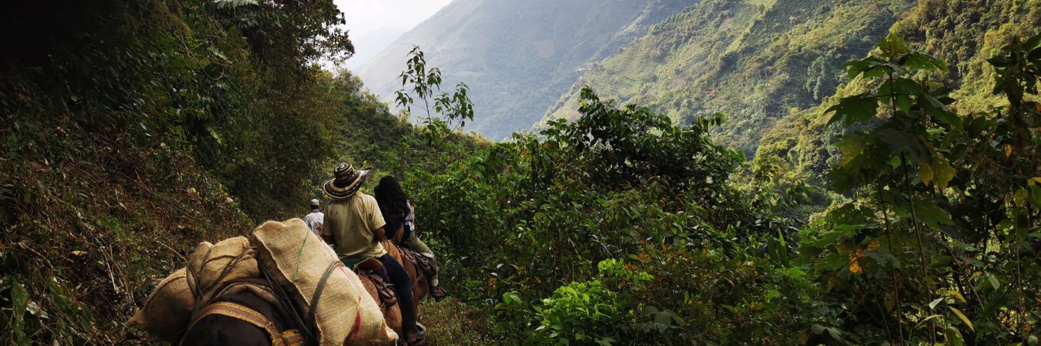 Luis Gómez Negrete banner