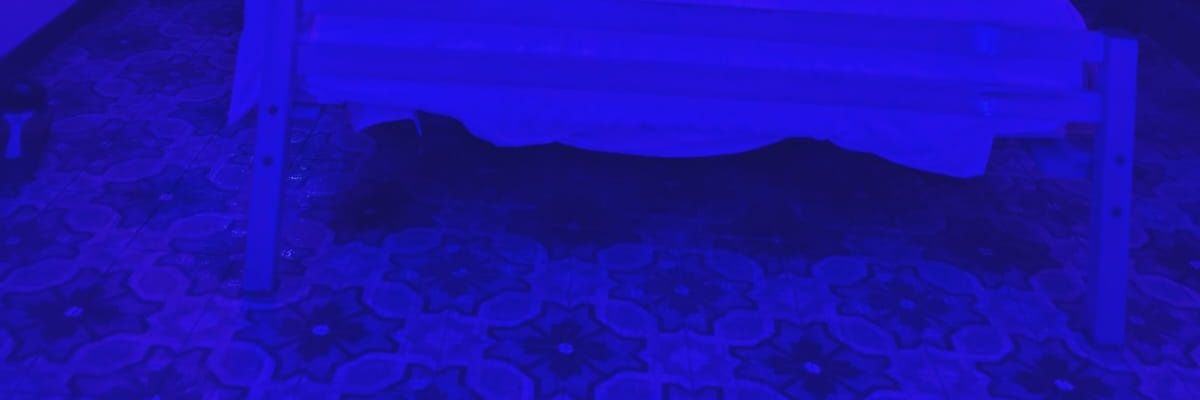 gminiis172767's profile banner image
