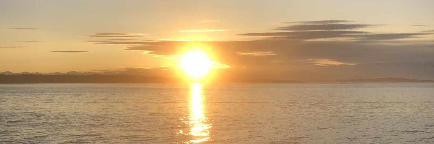missmollyopal's profile banner image
