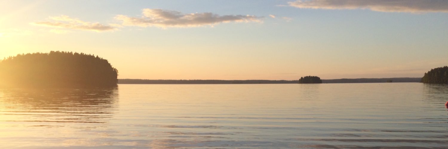 lottajuvonenn's profile banner image