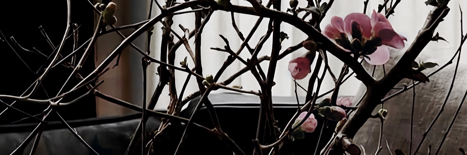 aerichian's profile banner image