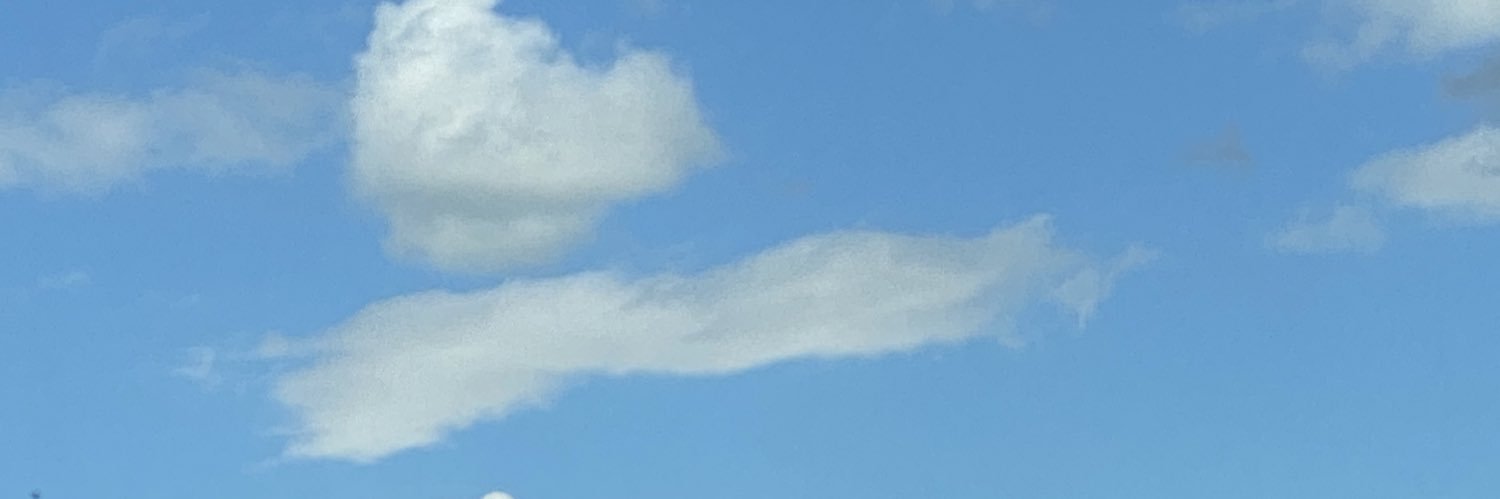 CharRolander666's profile banner image